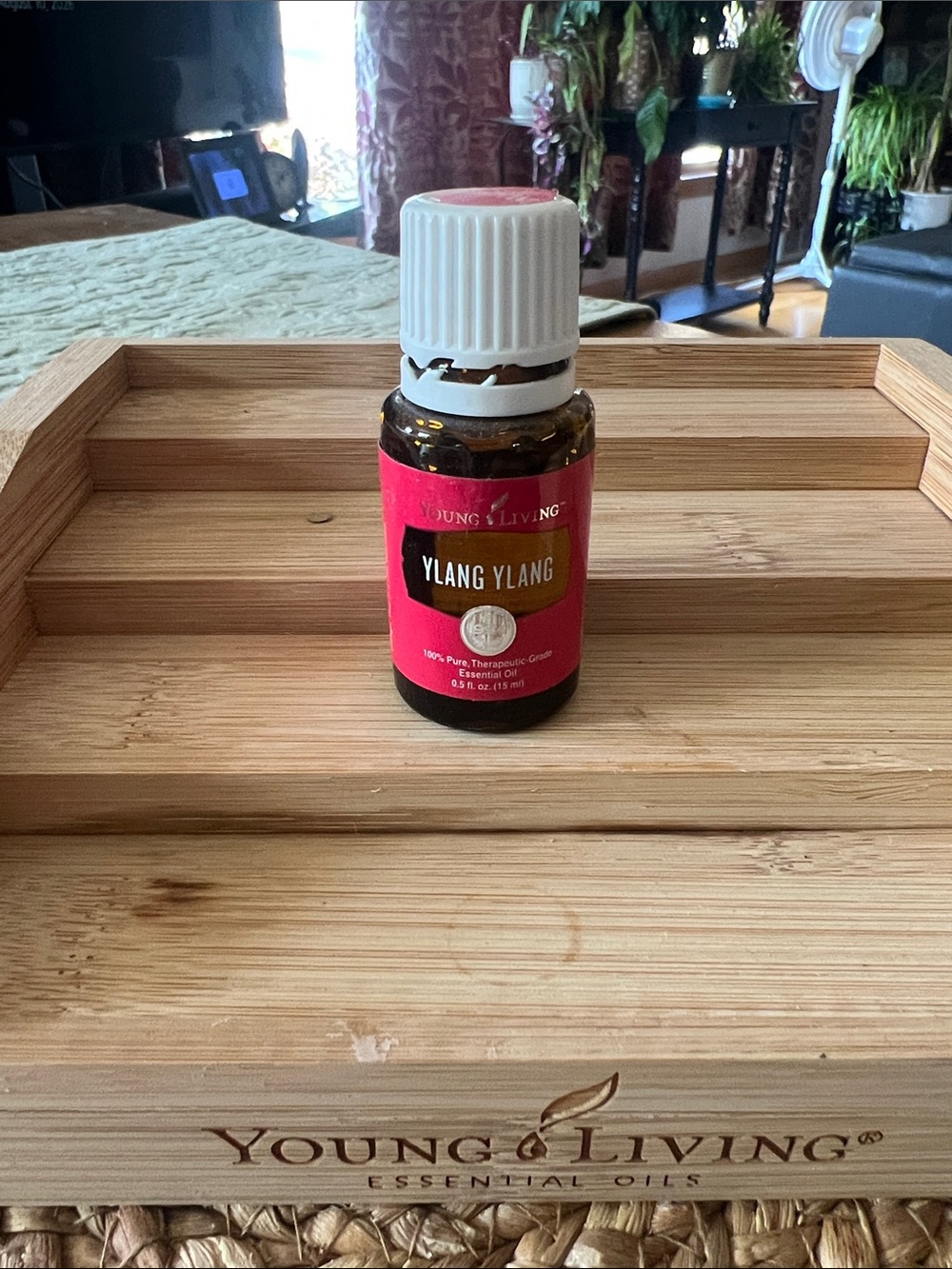 Young Living Ylang Ylang Essential Oil Bottle - Pink Label
